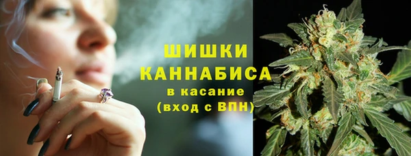 гидропоника Рославль