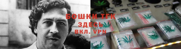 шишки Ростов