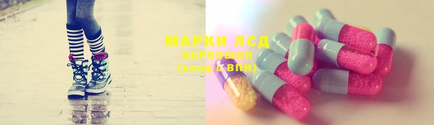 PSILOCYBIN Нягань