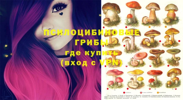соль курить ск Россошь