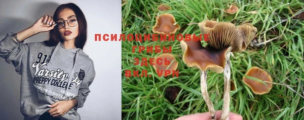 шишки Ростов